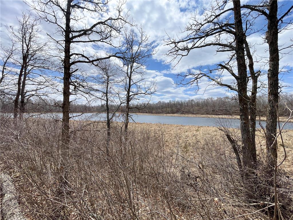 TBD1 Boot Lake Road SW Grant Valley Twp MN 56601 7071432 image19