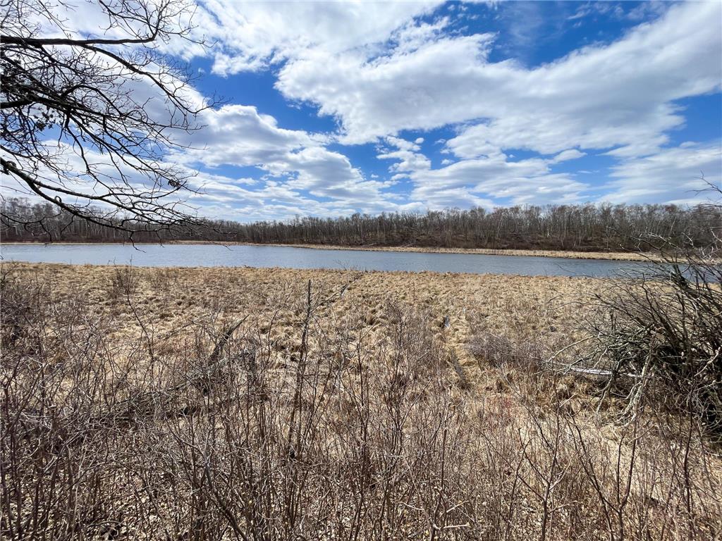 TBD1 Boot Lake Road SW Grant Valley Twp MN 56601 7071432 image20