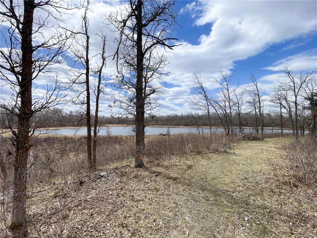 TBD1 Boot Lake Road SW Grant Valley Twp MN 56601 7071432 image21