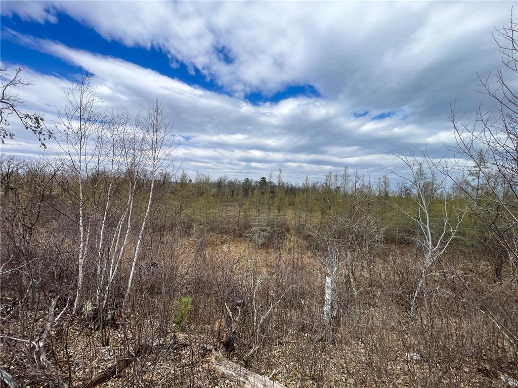 TBD1 Boot Lake Road SW Grant Valley Twp MN 56601 7071432 image22