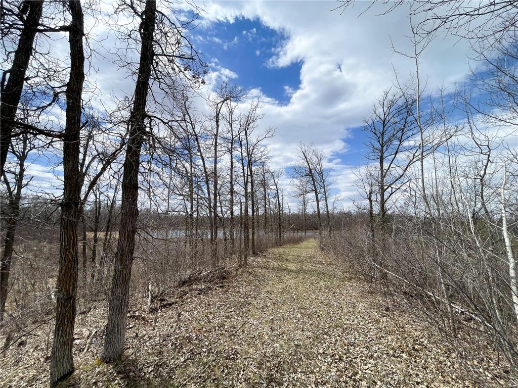 TBD1 Boot Lake Road SW Grant Valley Twp MN 56601 7071432 image23