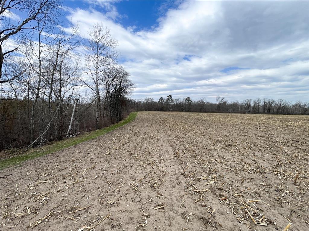 TBD1 Boot Lake Road SW Grant Valley Twp MN 56601 7071432 image24