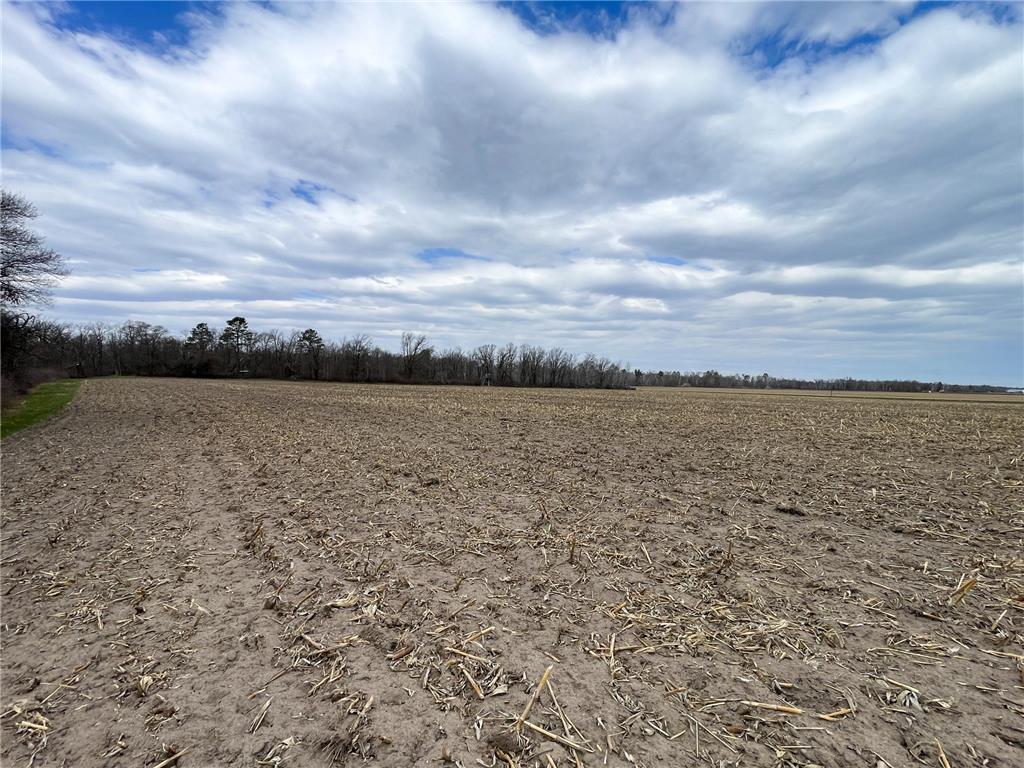 TBD1 Boot Lake Road SW Grant Valley Twp MN 56601 7071432 image25