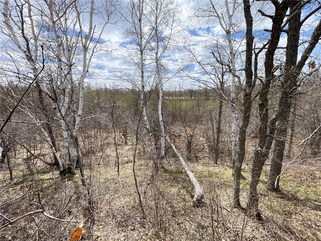 TBD1 Boot Lake Road SW Grant Valley Twp MN 56601 7071432 image26