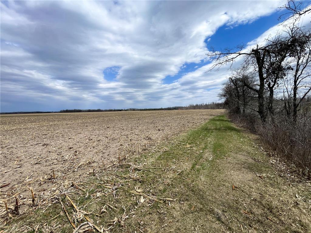 TBD1 Boot Lake Road SW Grant Valley Twp MN 56601 7071432 image28