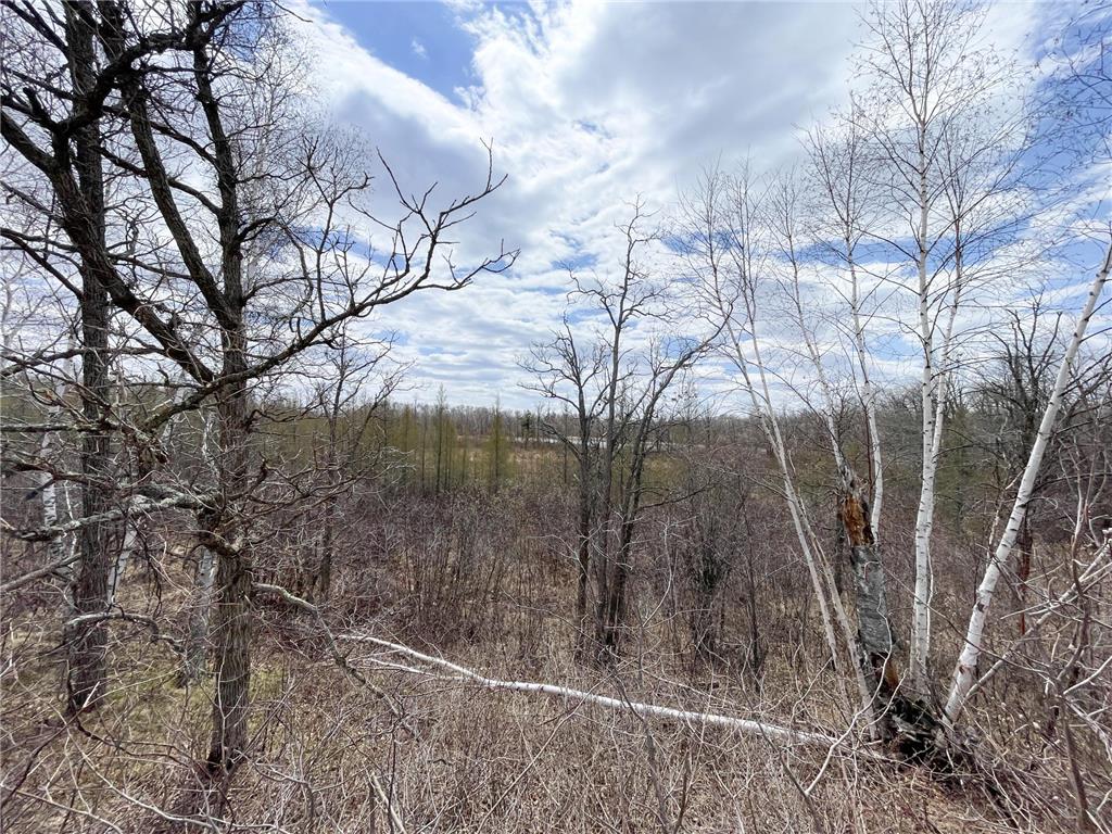 TBD1 Boot Lake Road SW Grant Valley Twp MN 56601 7071432 image29