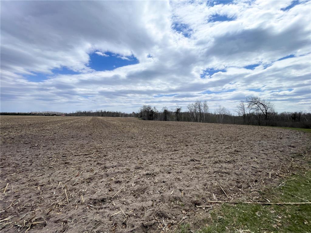 TBD1 Boot Lake Road SW Grant Valley Twp MN 56601 7071432 image31