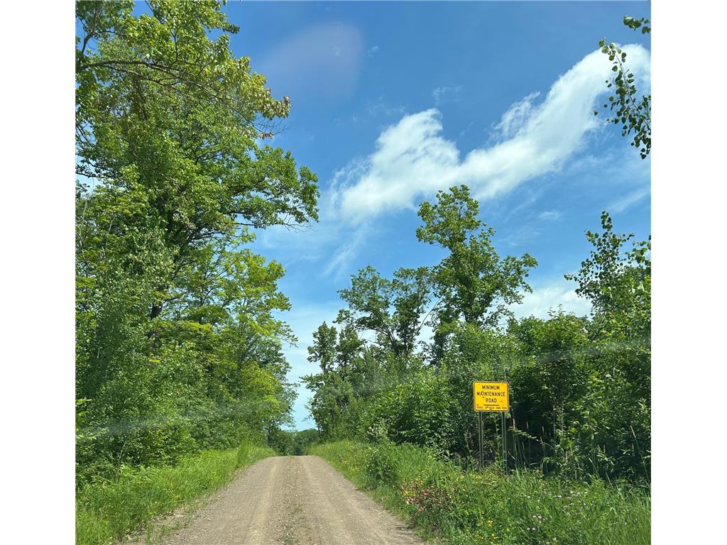 TBD1 Duncan Road Wilma Twp MN 55072 7075448 image2