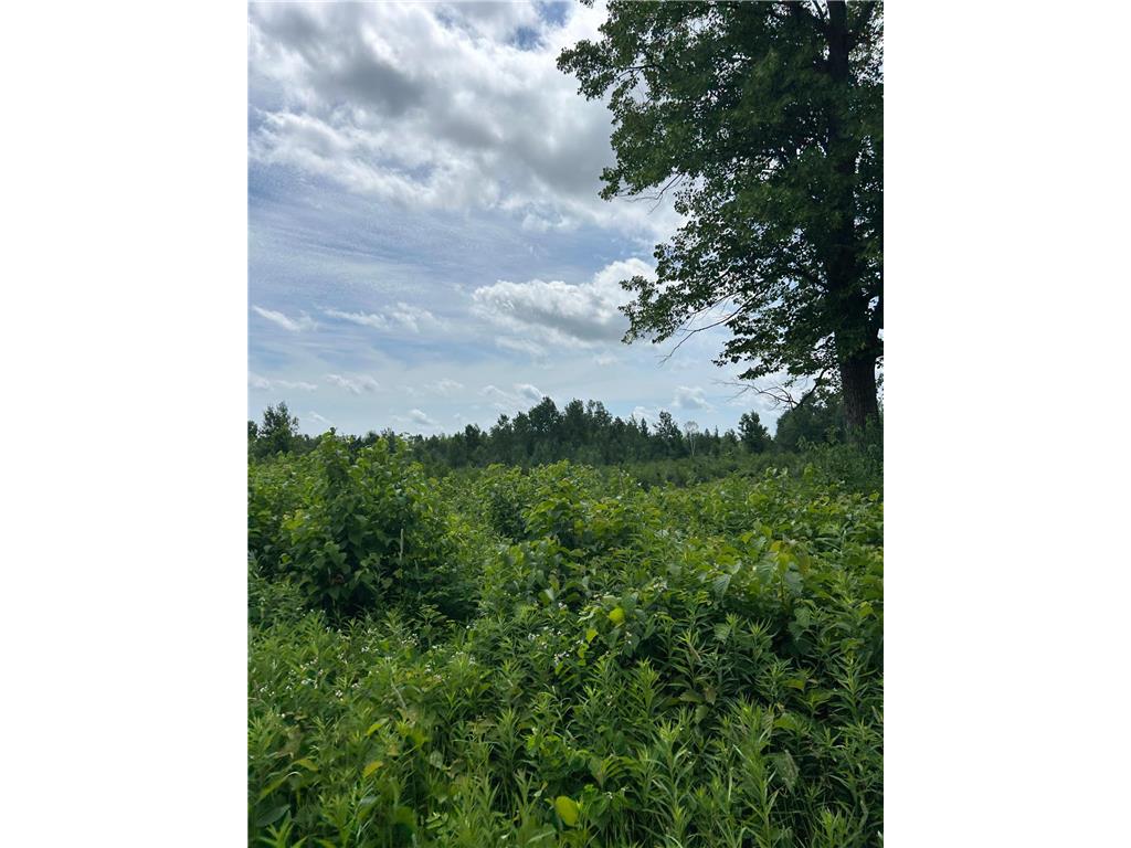 TBD1 Duncan Road Wilma Twp MN 55072 7075448 image3