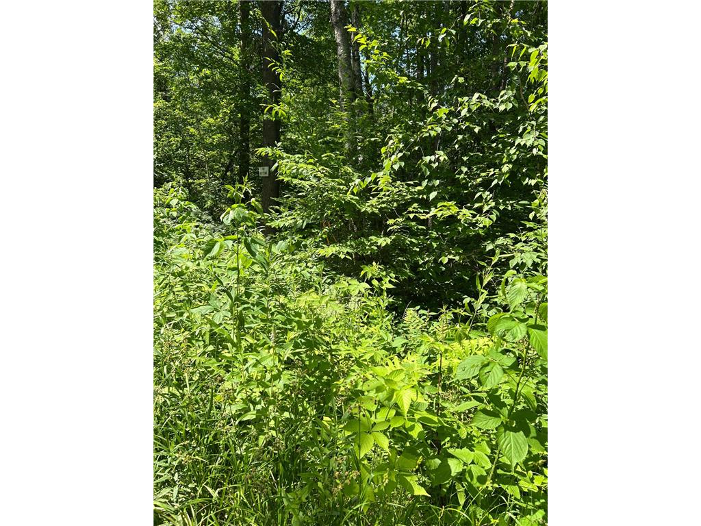 TBD1 Duncan Road Wilma Twp MN 55072 7075448 image4
