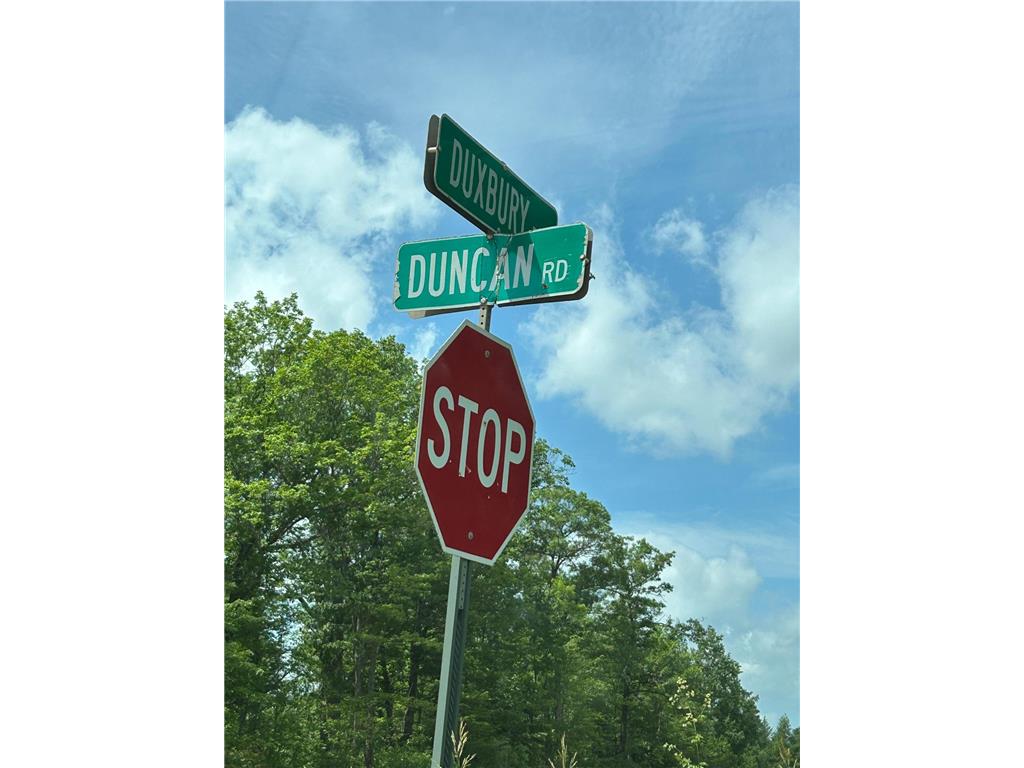 TBD1 Duncan Road Wilma Twp MN 55072 7075448 image6