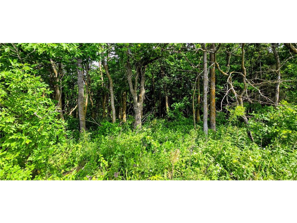 TBD1 TBD1 Lot C Lake Twp MN 56763 - Lake of The Woods 7105007 image7
