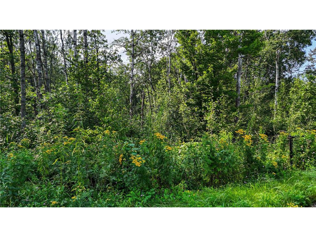 TBD1 Winter Creek Court Fairview Twp MN 56468 7012432 image30