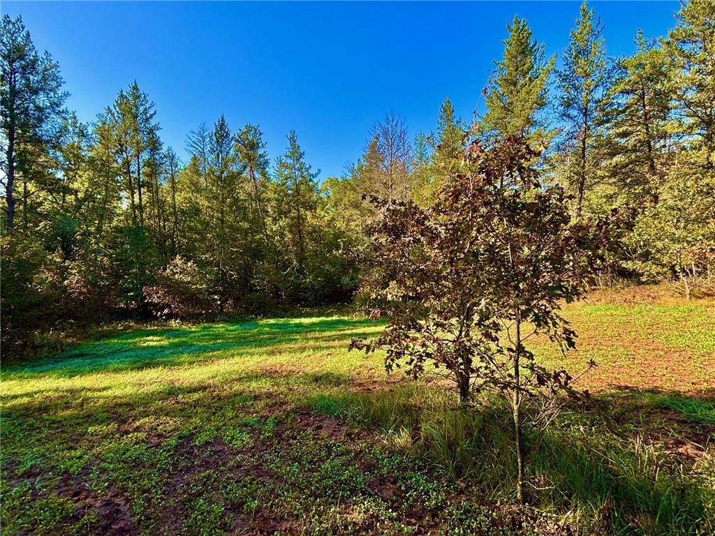 TBD153 River Road Sterling Twp WI 54024 6799481 image13