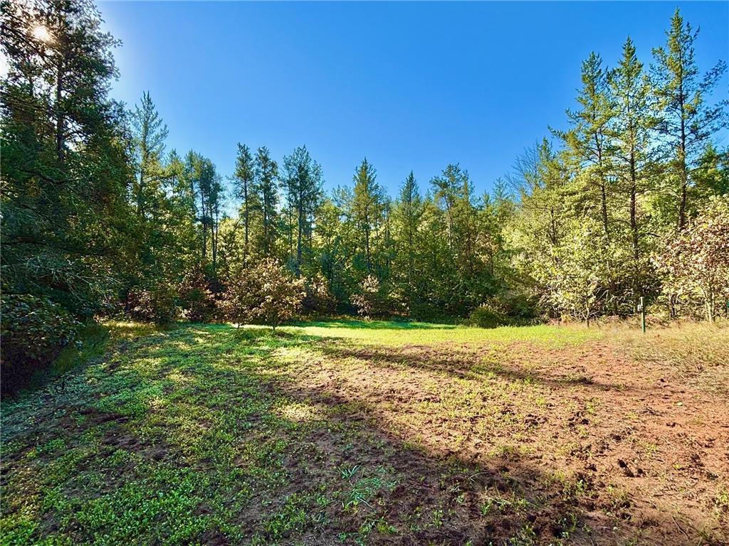 TBD153 River Road Sterling Twp WI 54024 6799481 image20