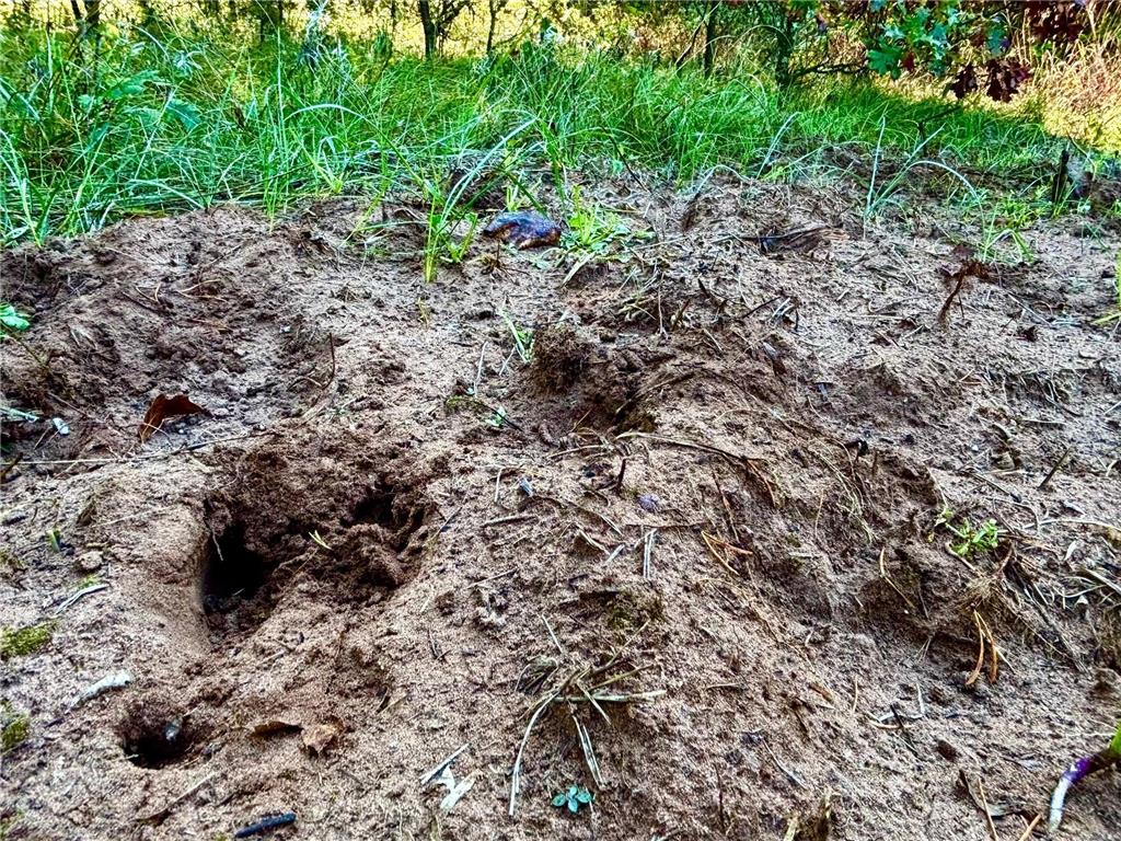 TBD153 River Road Sterling Twp WI 54024 6799481 image21