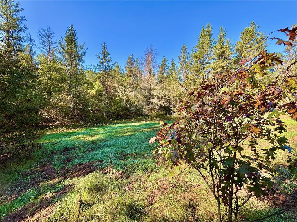 TBD153 River Road Sterling Twp WI 54024 6799481 image22