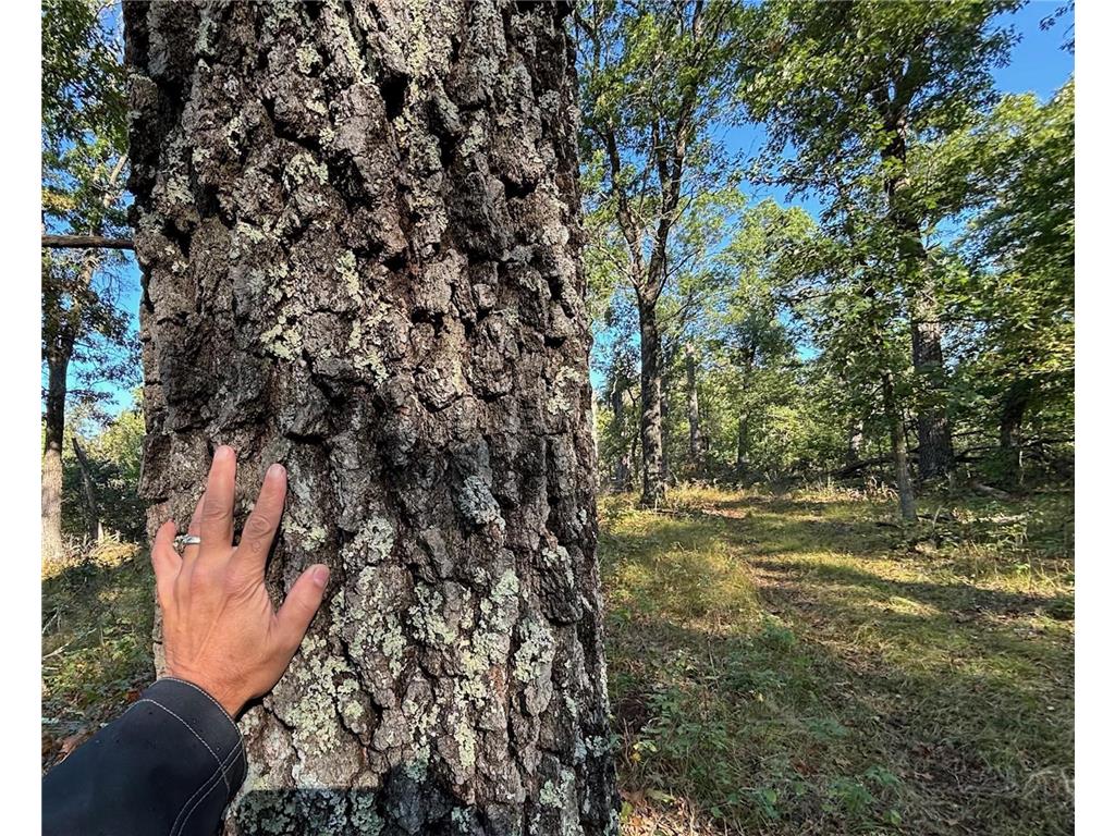 TBD153 River Road Sterling Twp WI 54024 6799481 image24