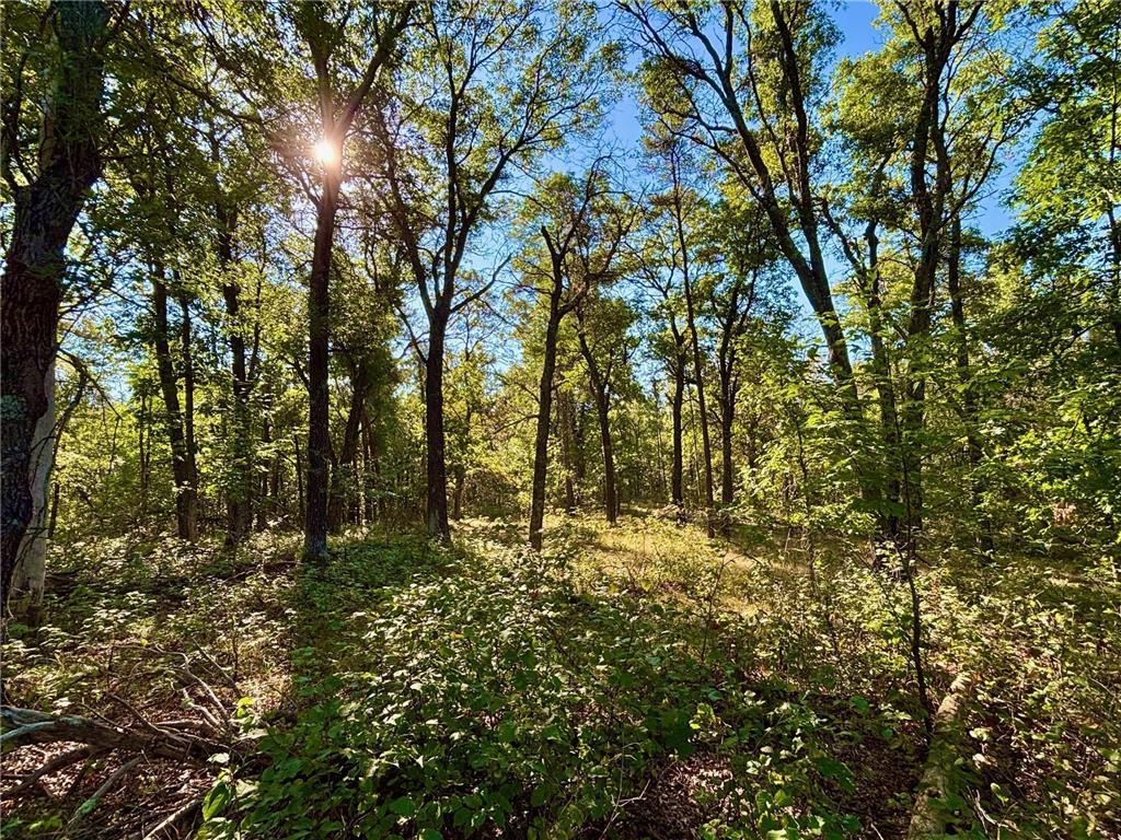 TBD153 River Road Sterling Twp WI 54024 6799481 image25