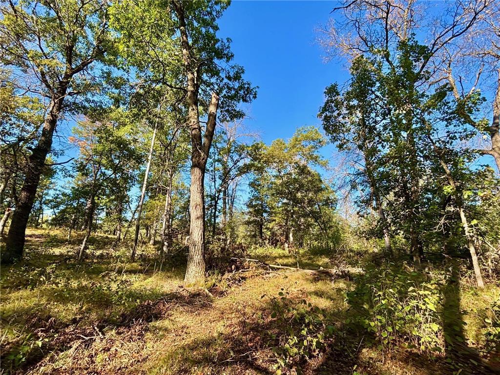 TBD153 River Road Sterling Twp WI 54024 6799481 image26