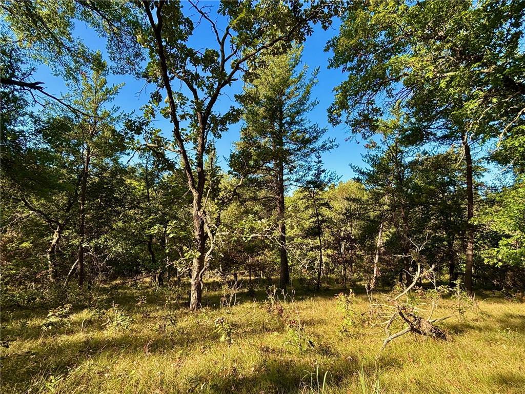 TBD153 River Road Sterling Twp WI 54024 6799481 image27