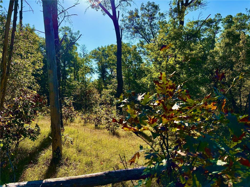 TBD153 River Road Sterling Twp WI 54024 6799481 image28