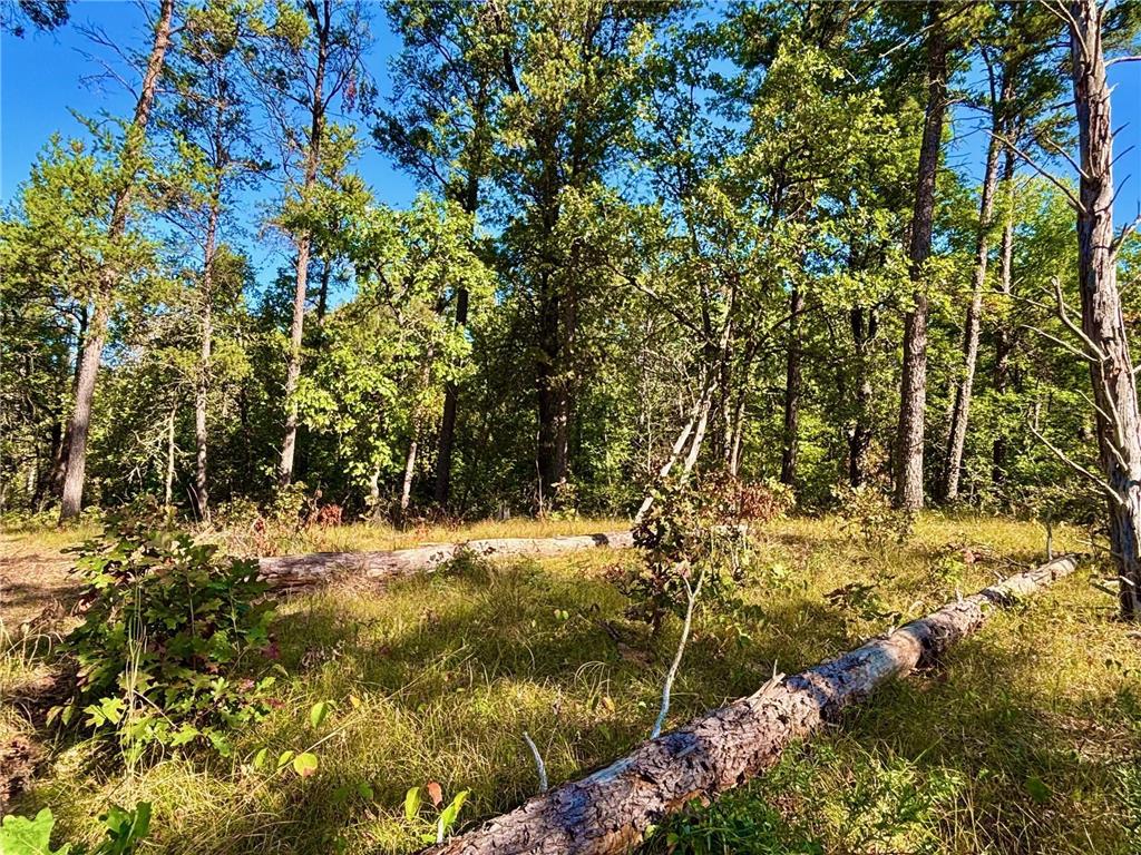 TBD153 River Road Sterling Twp WI 54024 6799481 image29