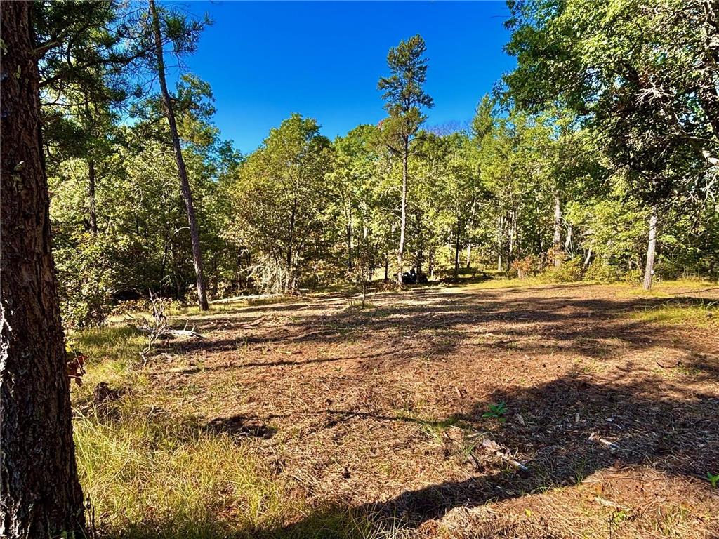 TBD153 River Road Sterling Twp WI 54024 6799481 image30