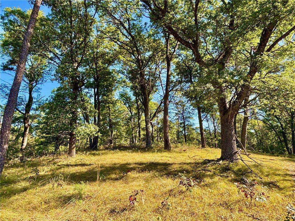 TBD153 River Road Sterling Twp WI 54024 6799481 image32