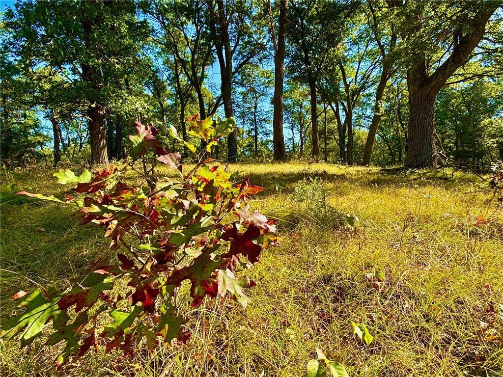 TBD153 River Road Sterling Twp WI 54024 6799481 image33