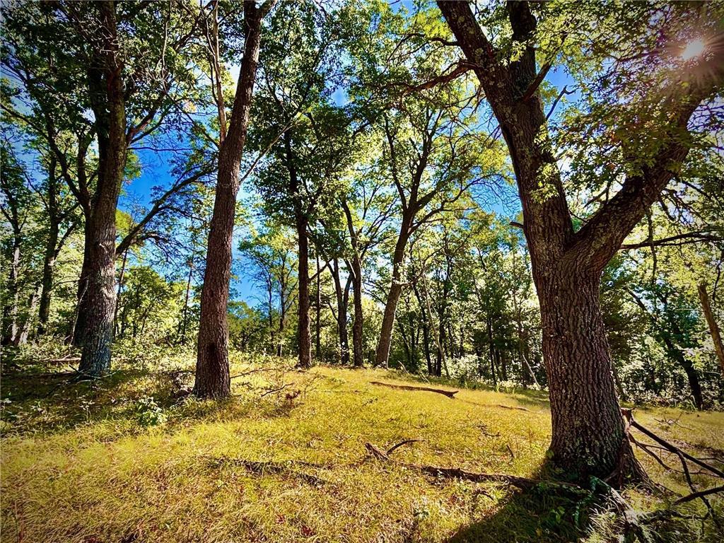 TBD153 River Road Sterling Twp WI 54024 6799481 image34