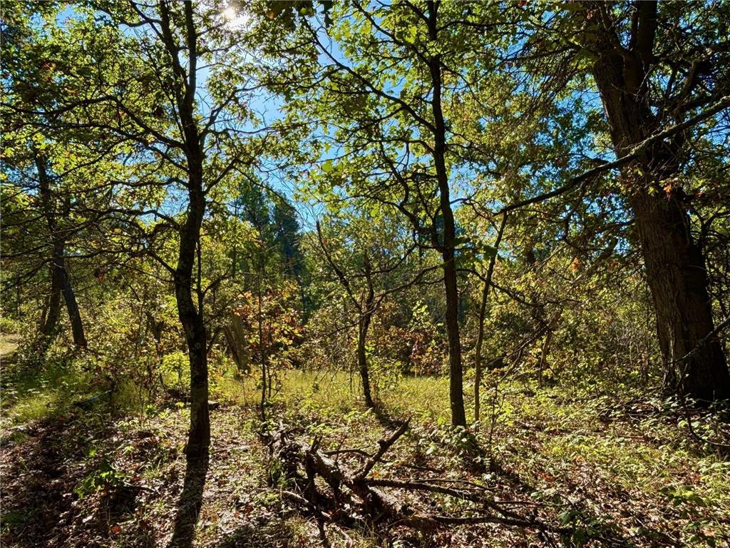 TBD153 River Road Sterling Twp WI 54024 6799481 image35