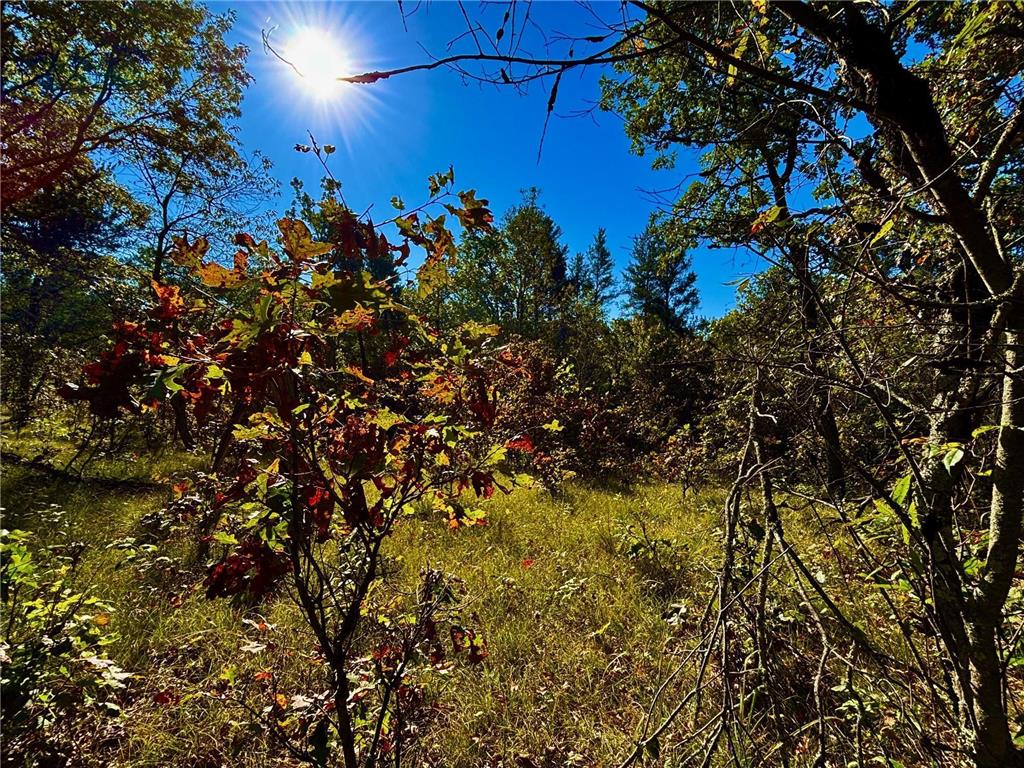 TBD153 River Road Sterling Twp WI 54024 6799481 image36