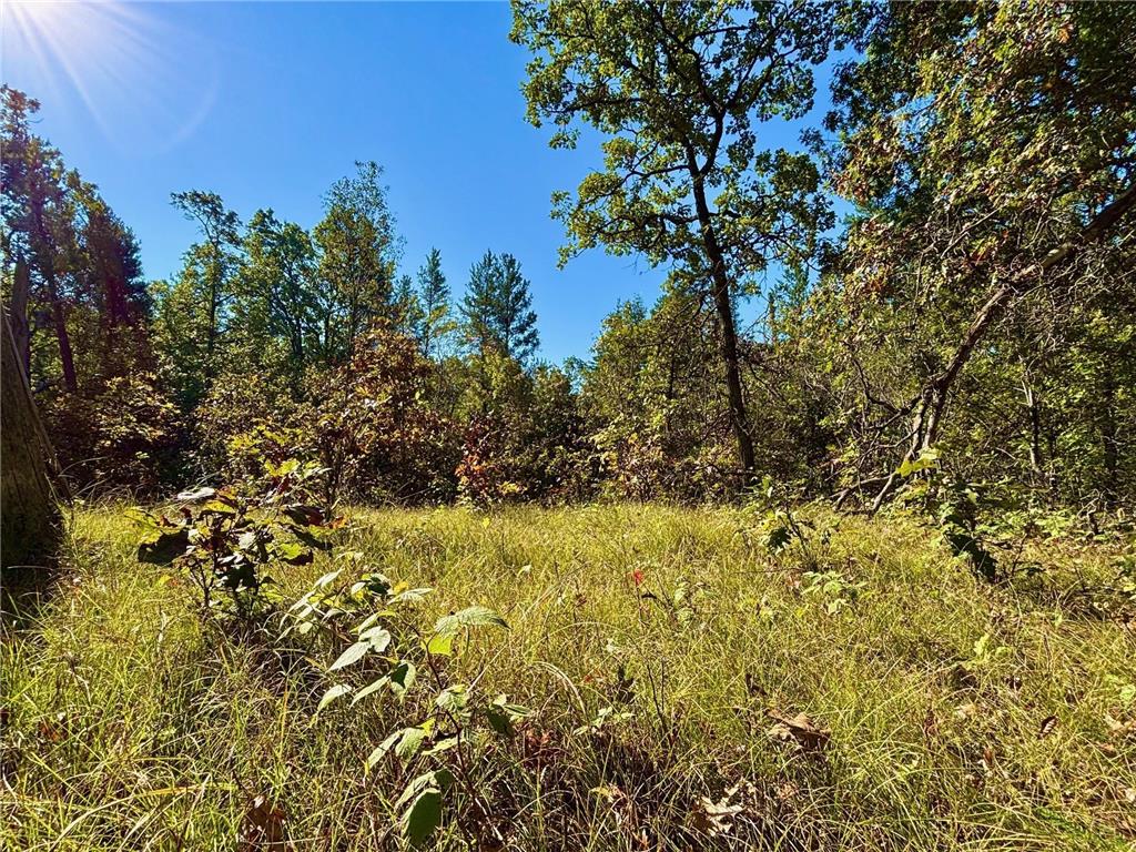 TBD153 River Road Sterling Twp WI 54024 6799481 image37