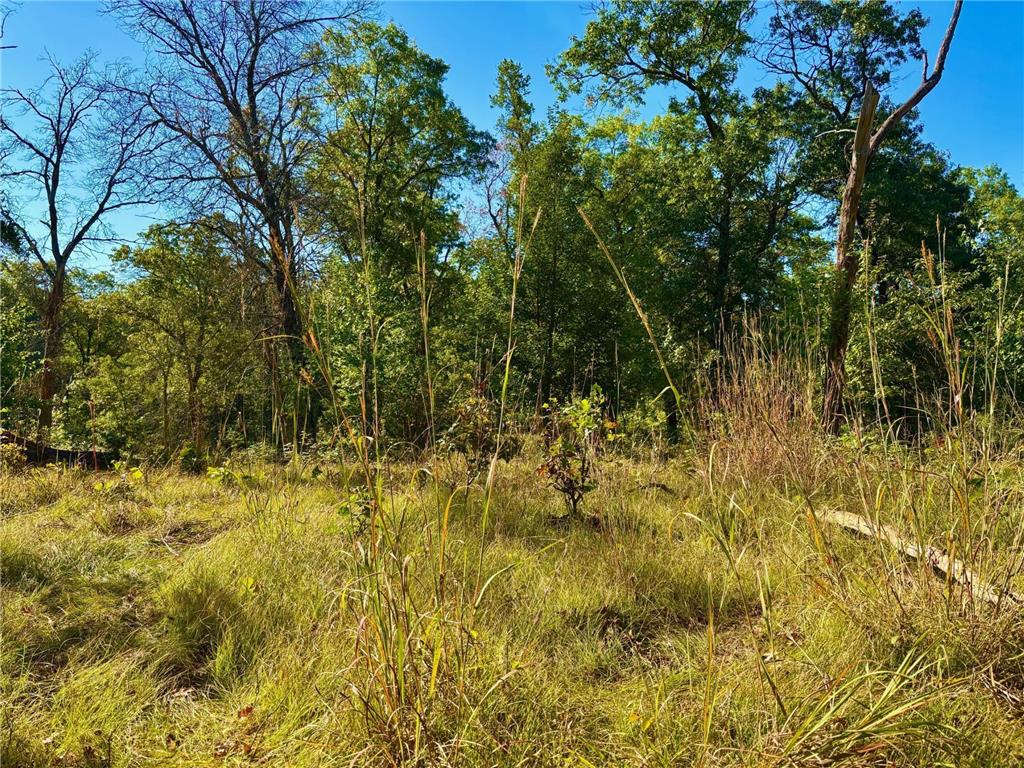 TBD153 River Road Sterling Twp WI 54024 6799481 image38