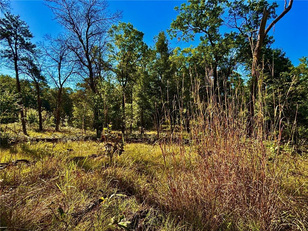 TBD153 River Road Sterling Twp WI 54024 6799481 image39