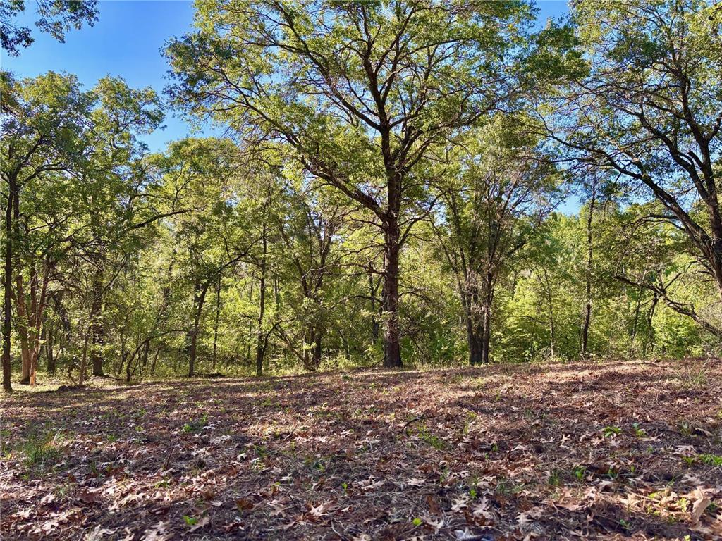 TBD153 River Road Sterling Twp WI 54024 6799481 image40