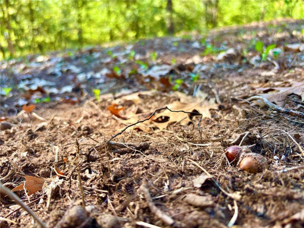 TBD153 River Road Sterling Twp WI 54024 6799481 image41