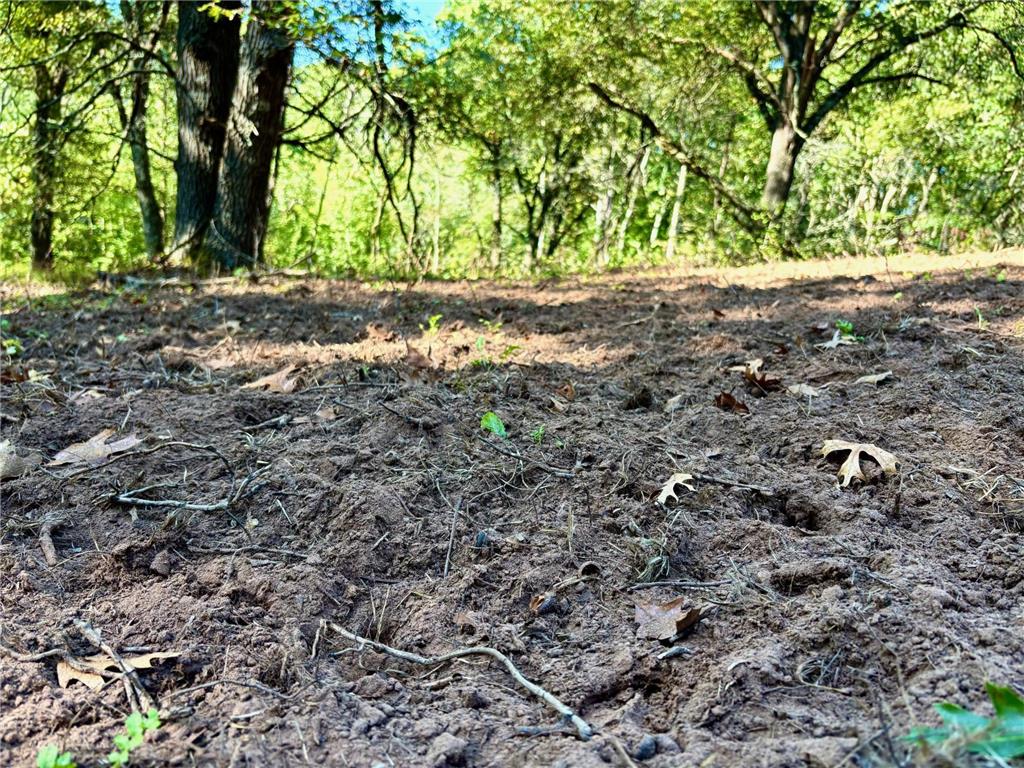 TBD153 River Road Sterling Twp WI 54024 6799481 image42