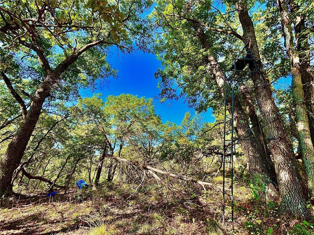 TBD153 River Road Sterling Twp WI 54024 6799481 image43