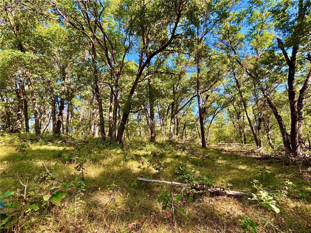 TBD153 River Road Sterling Twp WI 54024 6799481 image44