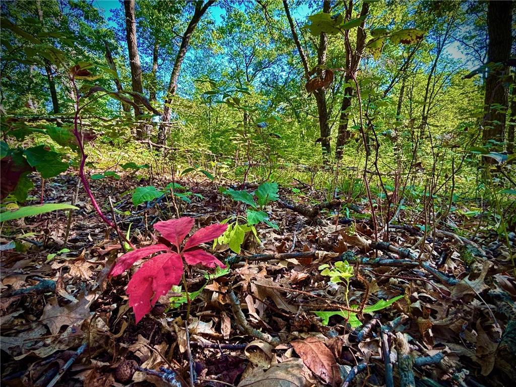 TBD153 River Road Sterling Twp WI 54024 6799481 image45