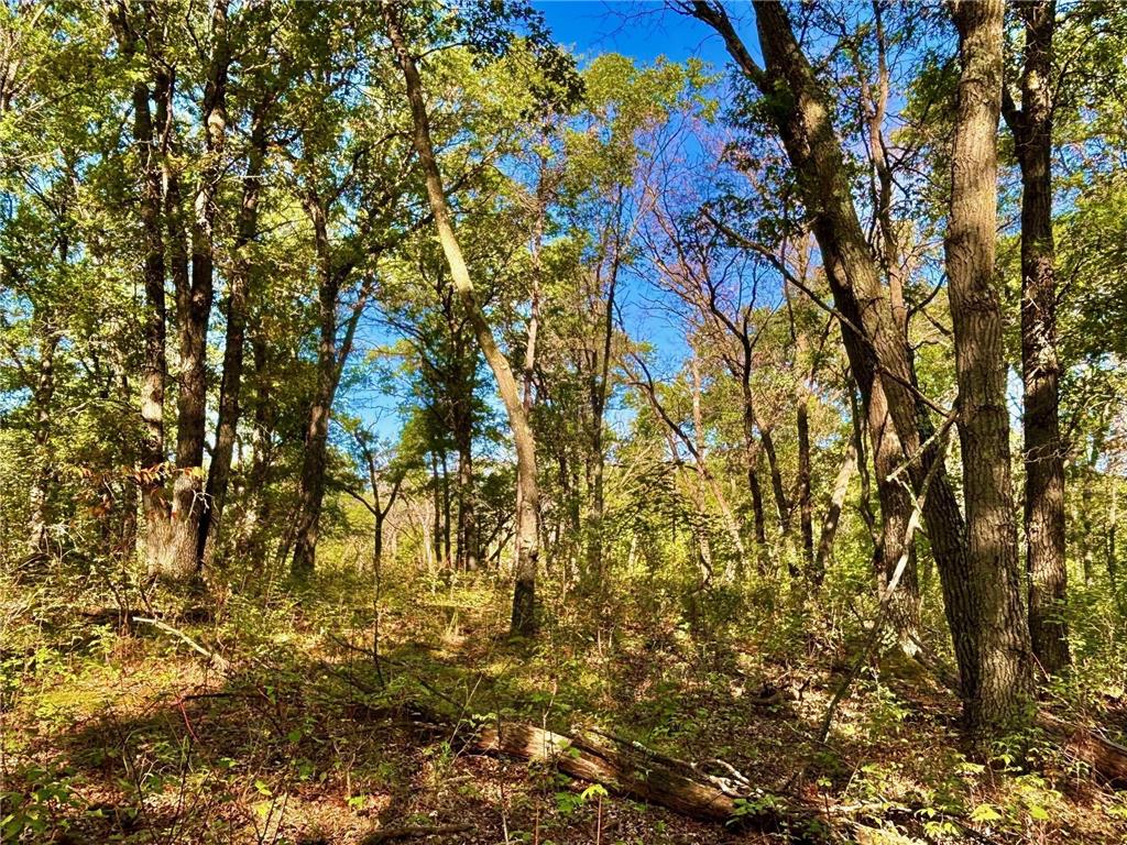 TBD153 River Road Sterling Twp WI 54024 6799481 image48