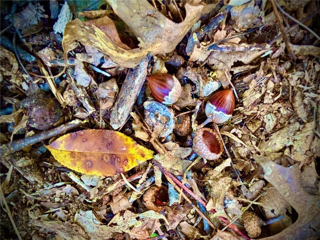 TBD153 River Road Sterling Twp WI 54024 6799481 image49