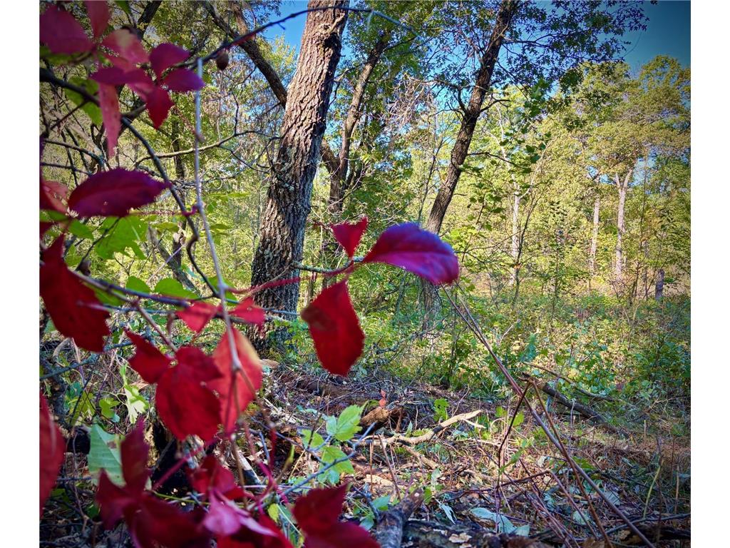 TBD153 River Road Sterling Twp WI 54024 6799481 image51