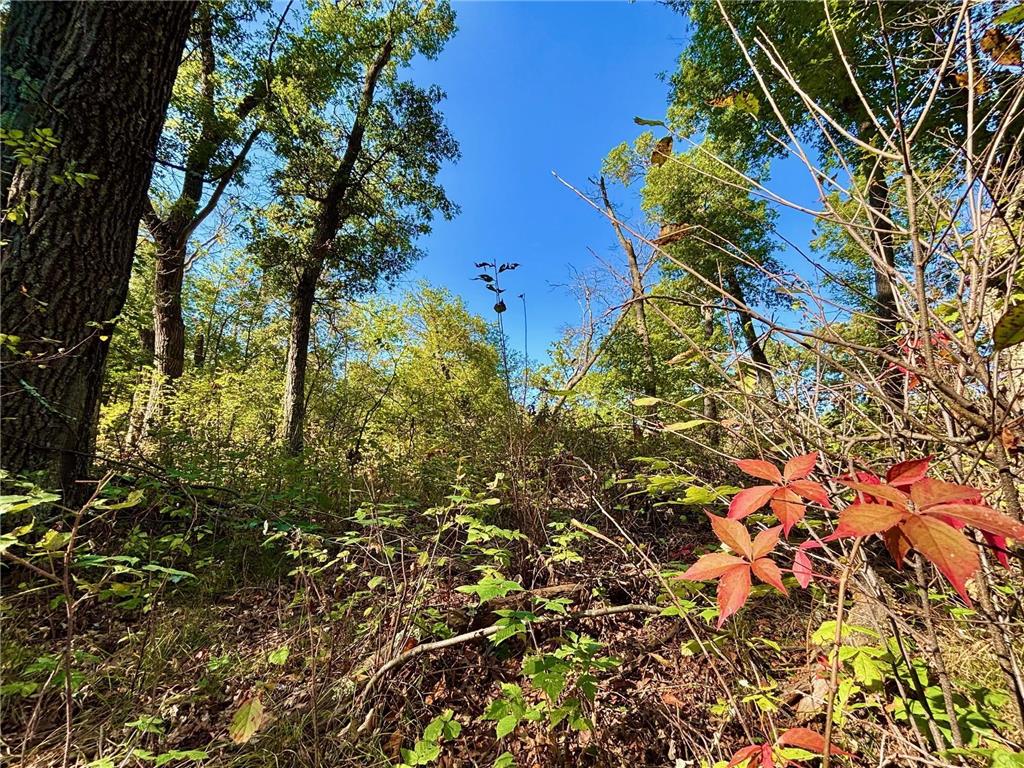 TBD153 River Road Sterling Twp WI 54024 6799481 image53