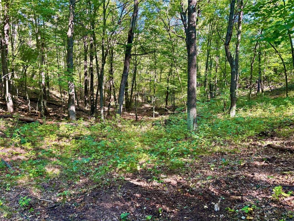 TBD153 River Road Sterling Twp WI 54024 6799481 image54