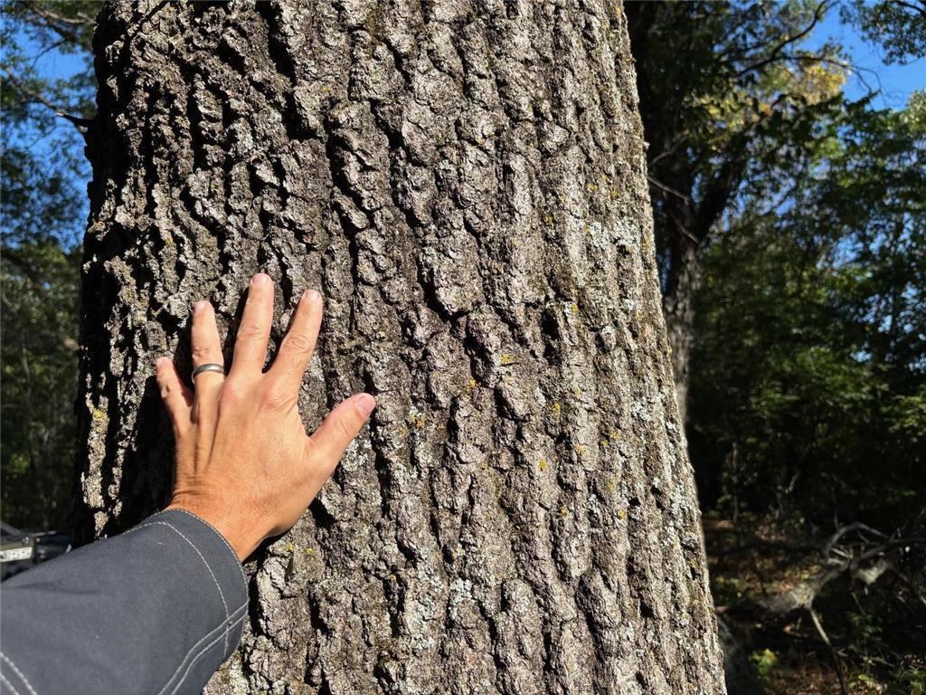 TBD153 River Road Sterling Twp WI 54024 6799481 image55