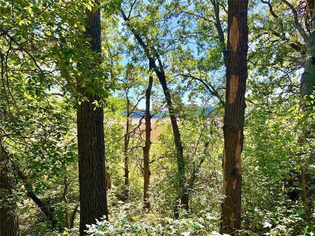 TBD153 River Road Sterling Twp WI 54024 6799481 image56