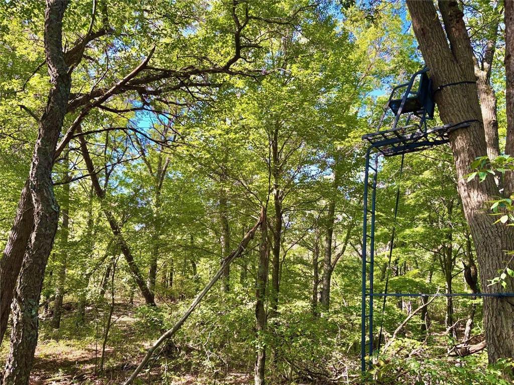 TBD153 River Road Sterling Twp WI 54024 6799481 image57